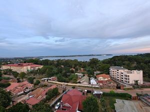 The Rooftop at K experience on LyveCity