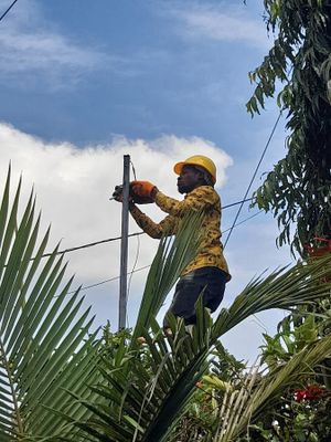 The Phenom Electrotech (U) Ltd experience on LyveCity