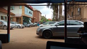 LyveCity