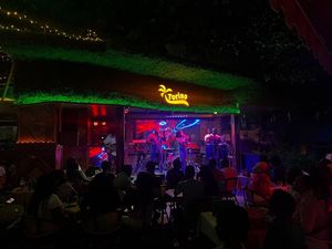 The Torino Bar And Restaurant experience on LyveCity