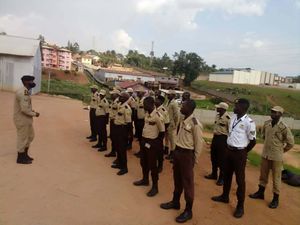 The Magnum Security Company Limited experience on LyveCity