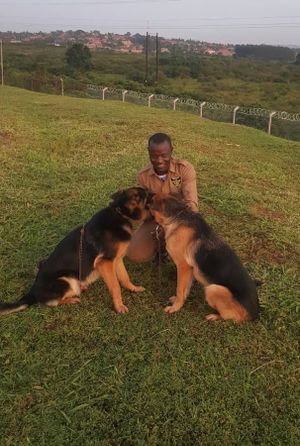 The Magnum Security Company Limited experience on LyveCity