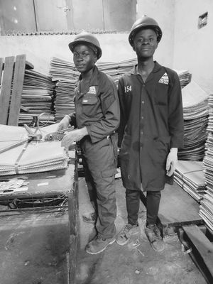 The Mesha Steel Limited experience on LyveCity