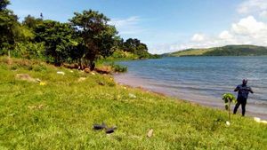 The Rwempango Real Estates experience on LyveCity