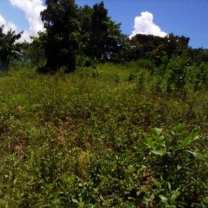 The Rwempango Real Estates experience on LyveCity