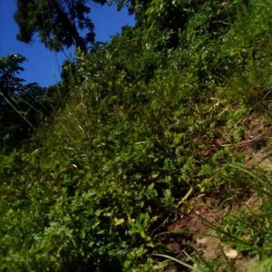 The Rwempango Real Estates experience on LyveCity