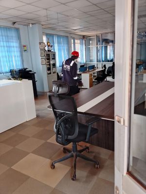 The MOTI Fumigation Limited experience on LyveCity