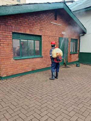 The MOTI Fumigation Limited experience on LyveCity