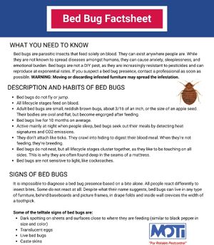 The MOTI Fumigation Limited experience on LyveCity