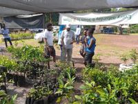 Uwepo Tree & Plant Nursery