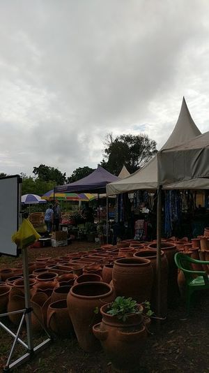Uwepo Tree & Plant Nursery - photo 10