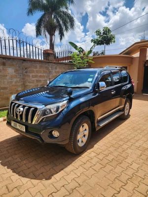 The Trip Car Rental Uganda experience on LyveCity