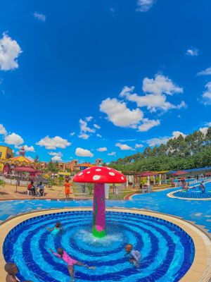 The Lloli fun park experience on LyveCity