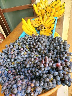 The Villa Lounge experience on LyveCity