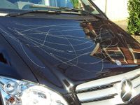 D & D carbody solution