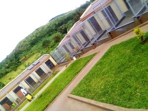 The Elham kennel uganda experience on LyveCity