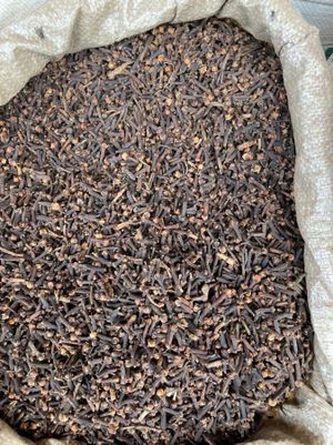 Sahara SPICE HUB image
