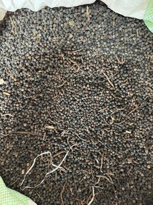 Sahara SPICE HUB - photo 8