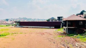 The WastePlus experience on LyveCity