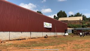 The WastePlus experience on LyveCity