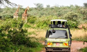 The Uganda Car Rental Services, Najjanankumbi experience on LyveCity