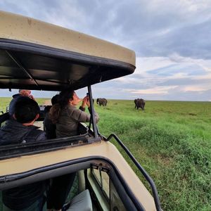 The Instant Car Rental Uganda experience on LyveCity