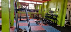 The Tone Health Club experience on LyveCity