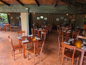 The The Hickory experience on LyveCity