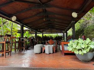 The The Hickory experience on LyveCity