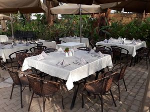 The The Roots Restaurant experience on LyveCity