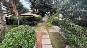 The The Roots Restaurant experience on LyveCity