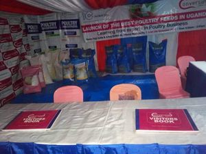Conversion Feeds Ltd image
