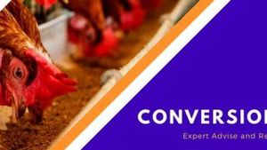 Conversion Feeds Ltd image