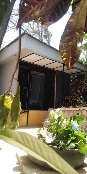 The Studio FH Architects experience on LyveCity