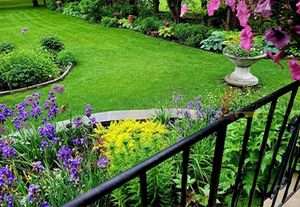 The Meridian Waste (U) Ltd experience on LyveCity