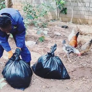 The Waste Fix Limited experience on LyveCity