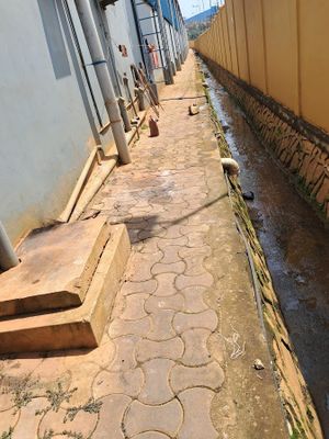 The Waste Fix Limited experience on LyveCity