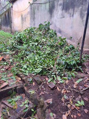 Waste Fix Limited - photo 8