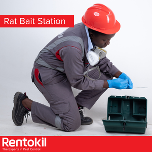 The Rentokil Pest Control - Kampala experience on LyveCity
