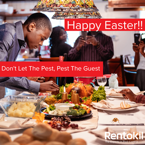 The Rentokil Pest Control - Kampala experience on LyveCity