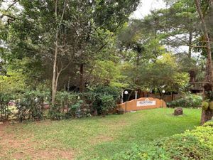 Adonai adventure Park image