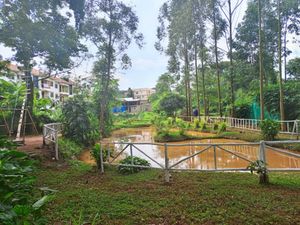 LyveCity