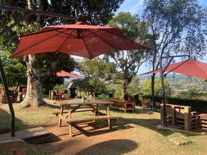 The Plot 99 - Coffeehouse & Lounge experience on LyveCity