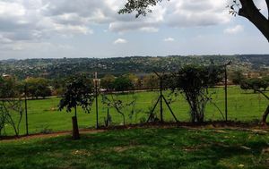 The Plot 99 - Coffeehouse & Lounge experience on LyveCity