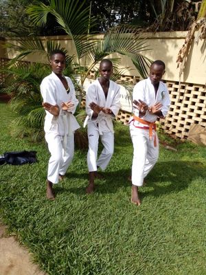 kids karate Academy- Uganda image