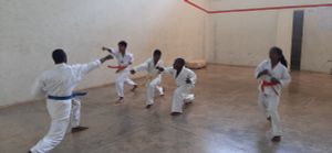 kids karate Academy- Uganda image