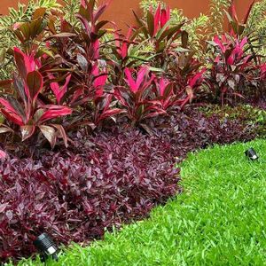 Eco MICE Landscaping Uganda - photo 7