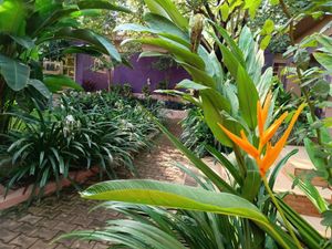 Eco MICE Landscaping Uganda - photo 8