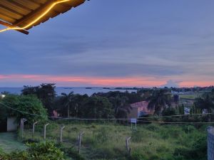 The Faze 3 experience on LyveCity