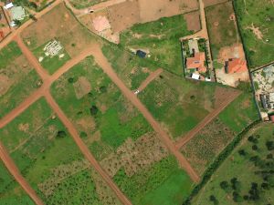 The Amka International Real Estate experience on LyveCity